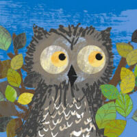 WOW! Said the Owl - illustration