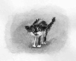Illustration from Ship’s Cat Doris
