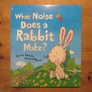 What Noise Does a Rabbit Make