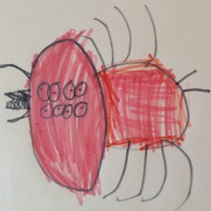 Susannah Lloyd - jellyfish childhood drawing