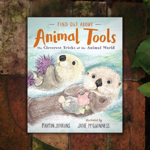Find Out About Animal Tools