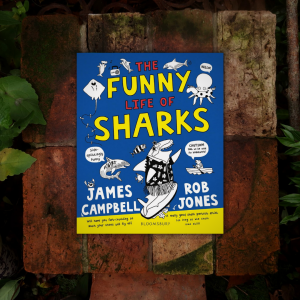 The Funny Life of Sharks